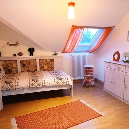 Ferienwohnungen Finke Frankenau Exterior foto
