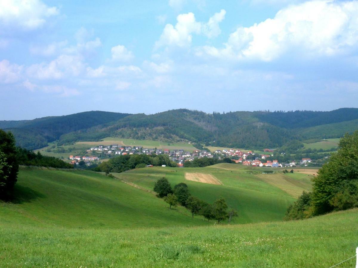 Ferienwohnungen Finke Frankenau Exterior foto