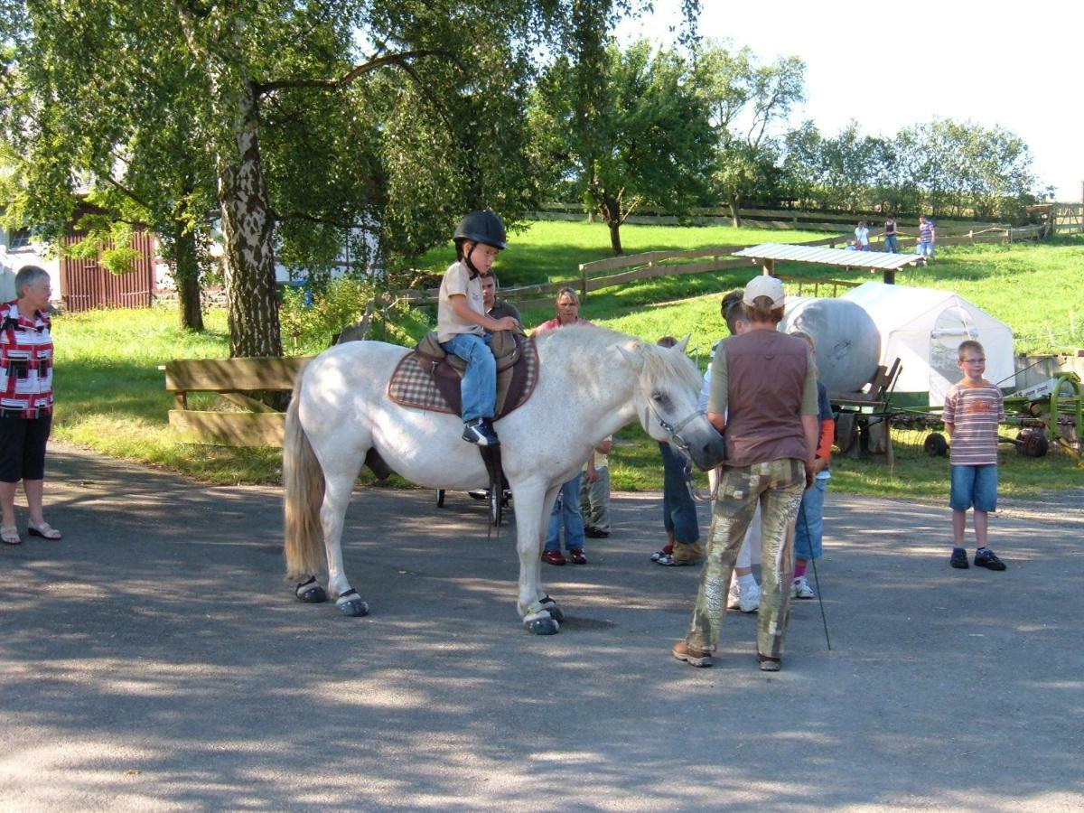 Ferienwohnungen Finke Frankenau Exterior foto