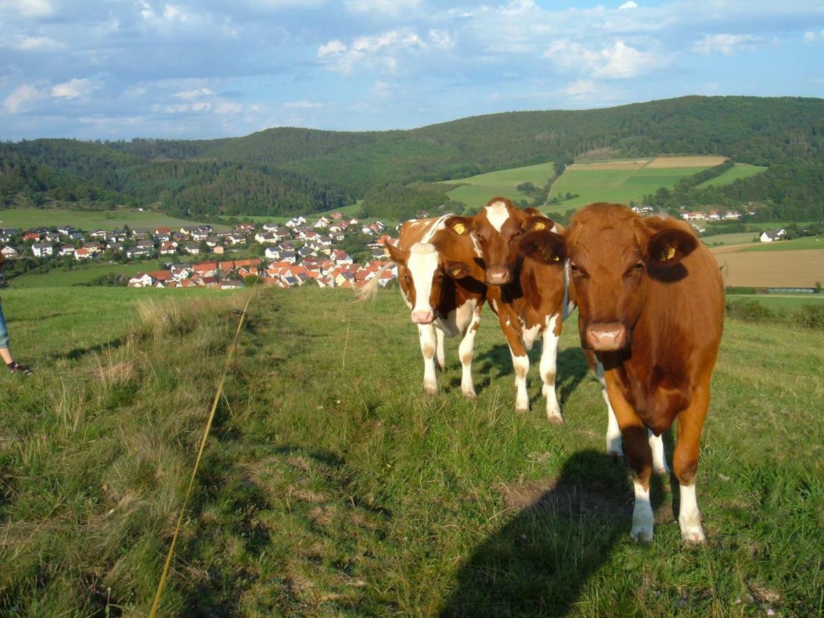 Ferienwohnungen Finke Frankenau Exterior foto