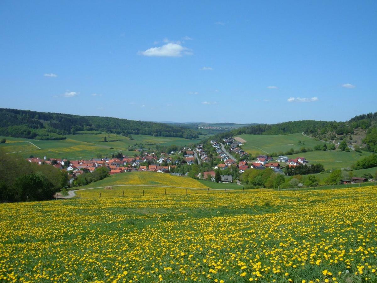 Ferienwohnungen Finke Frankenau Exterior foto