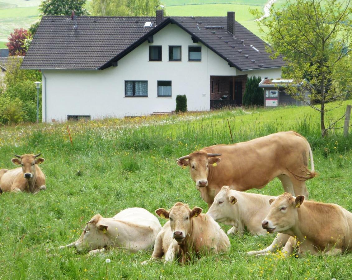 Ferienwohnungen Finke Frankenau Exterior foto