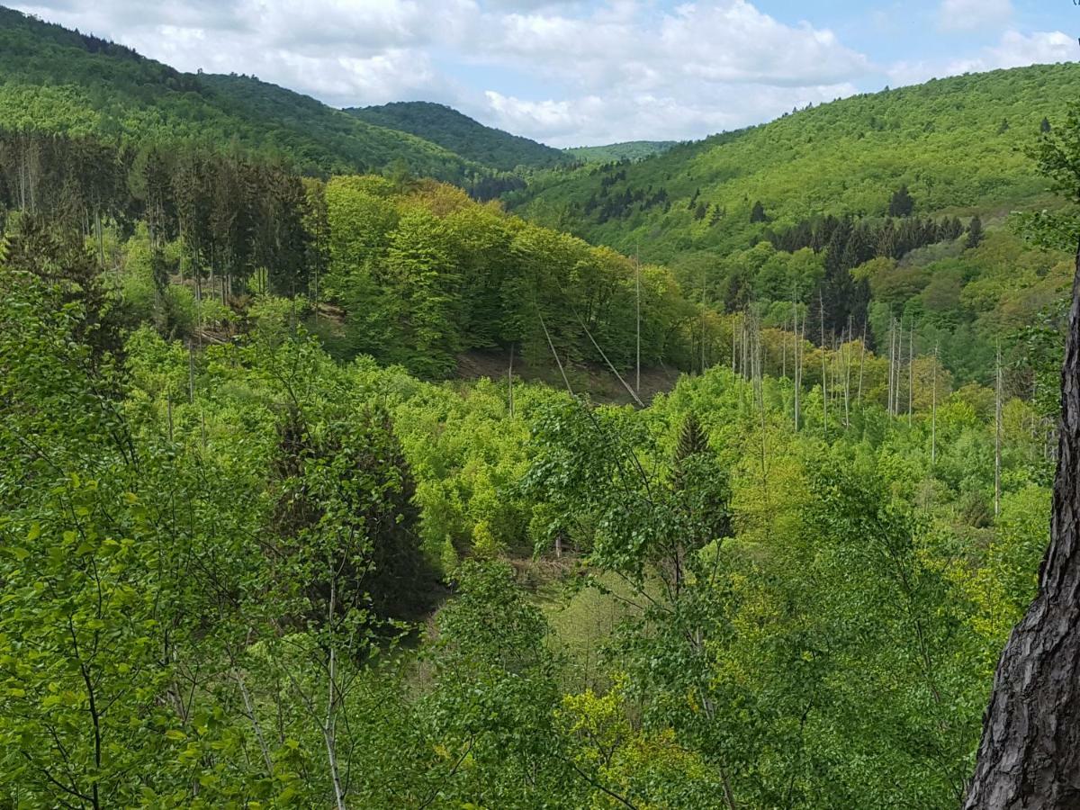 Ferienwohnungen Finke Frankenau Exterior foto