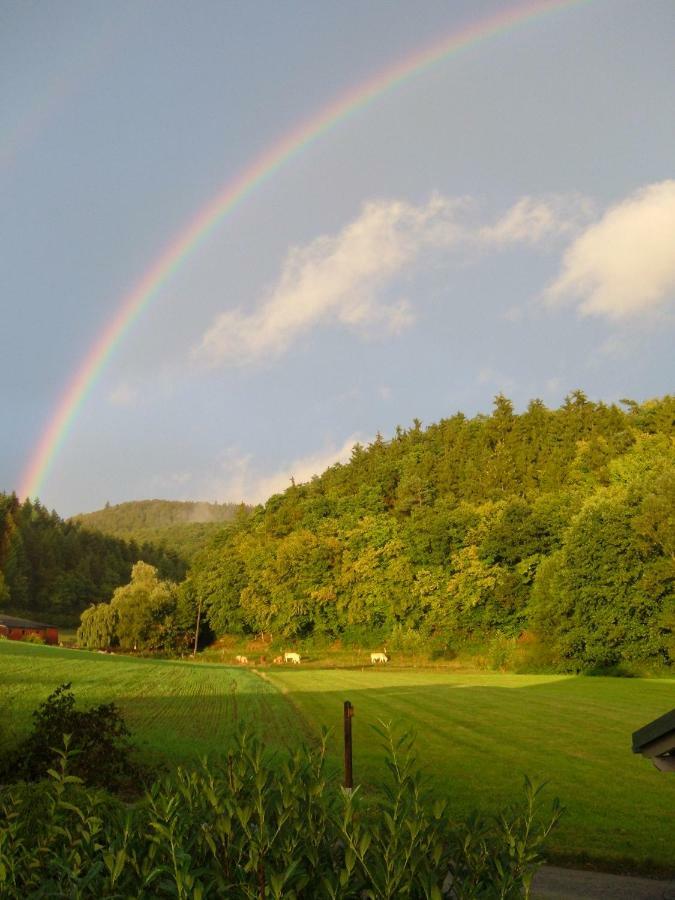Ferienwohnungen Finke Frankenau Exterior foto