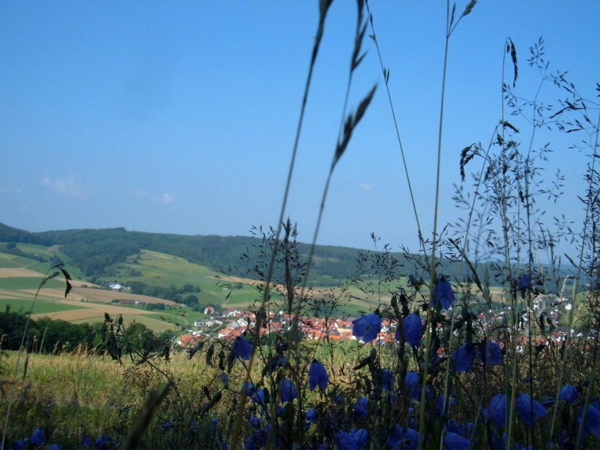 Ferienwohnungen Finke Frankenau Exterior foto